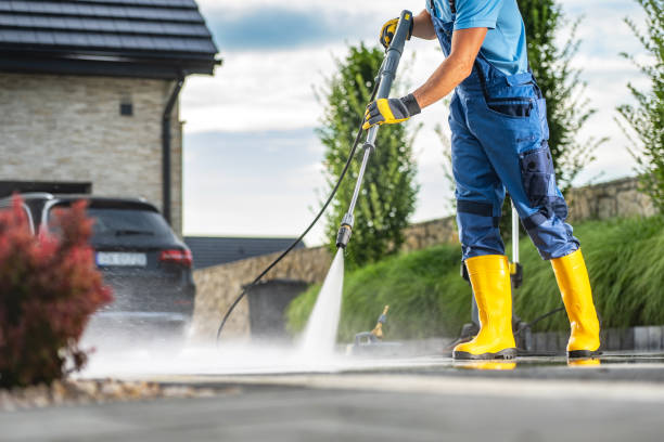 Best Roof Washing  in Allendale, CA